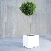 jardinière PM - Alea - Extremis