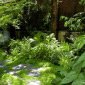 un jardin contemplatif &agrave; Paris